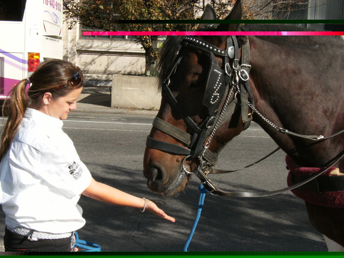 dscf1675.jpg