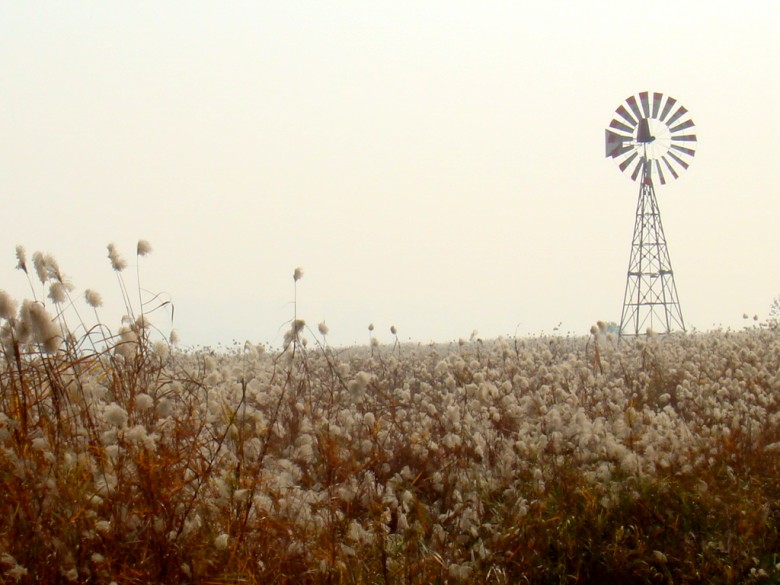 Ƭ 020_conew1.jpg