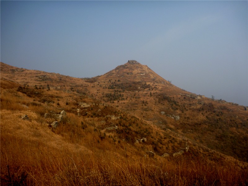 p1030665_.jpg