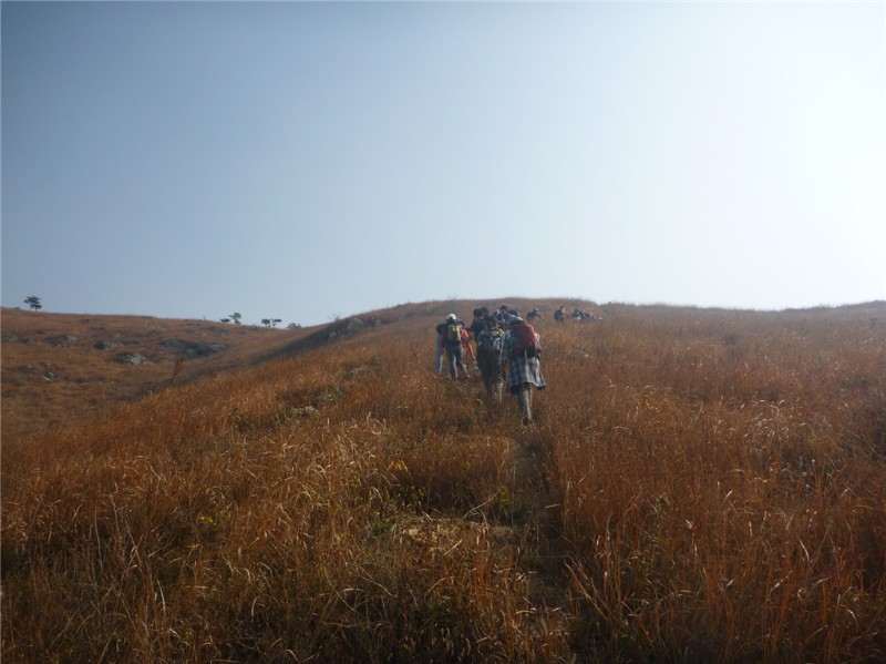 p1030648_.jpg