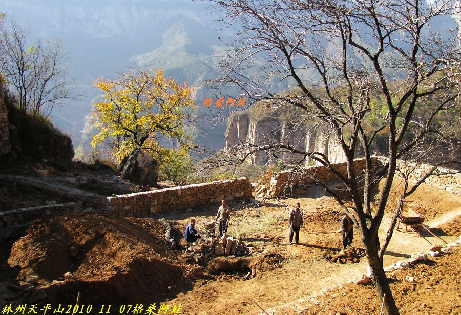 1150.jpg