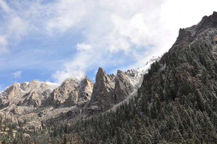 dsc_0040.jpg