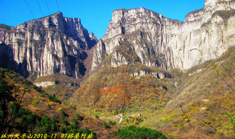  1225.jpg