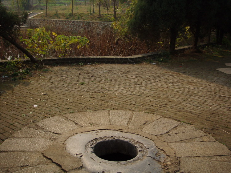 p1010116.jpg