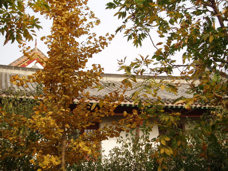 p1010139.jpg