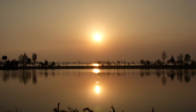 dscn1049.jpg
