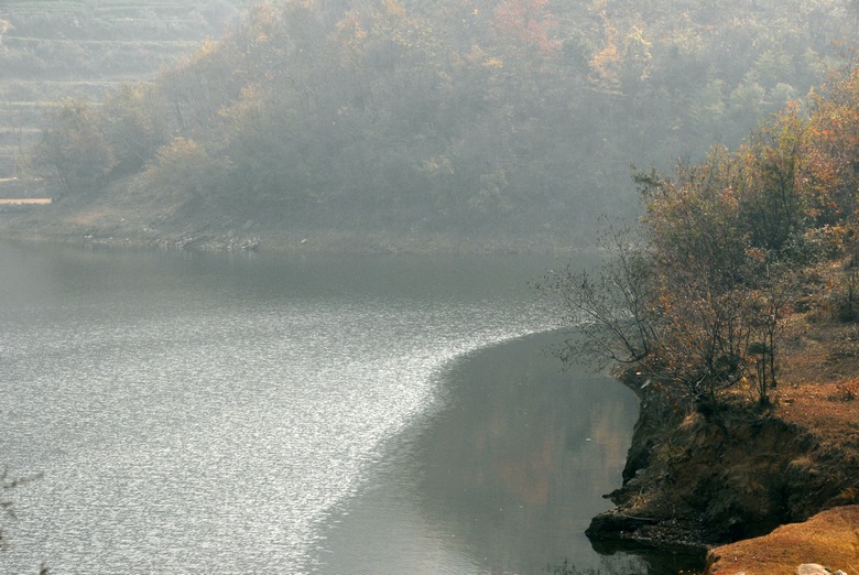 dsc_0050.jpg