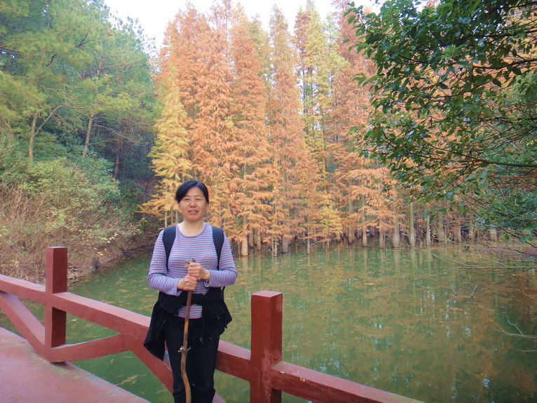 dsc07427.jpg
