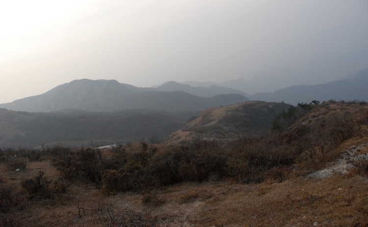 dsc_0206.jpg