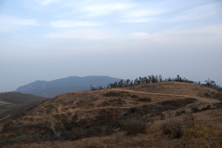 dsc_0207.jpg
