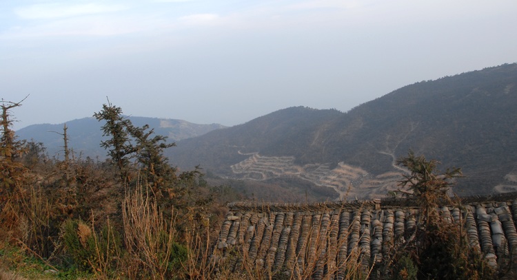 dsc_0212.jpg