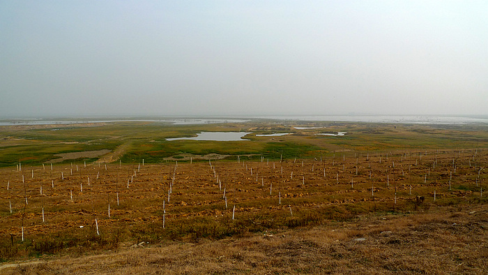 p1080352.jpg