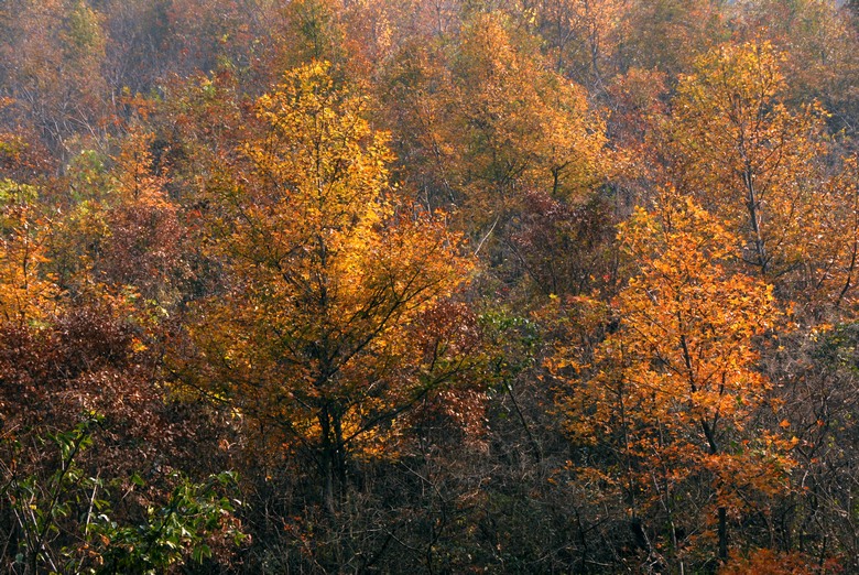 dsc_0069.jpg