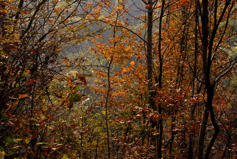dsc_0073.jpg