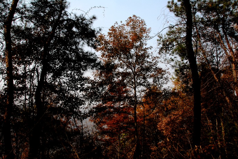 dsc_0091.jpg