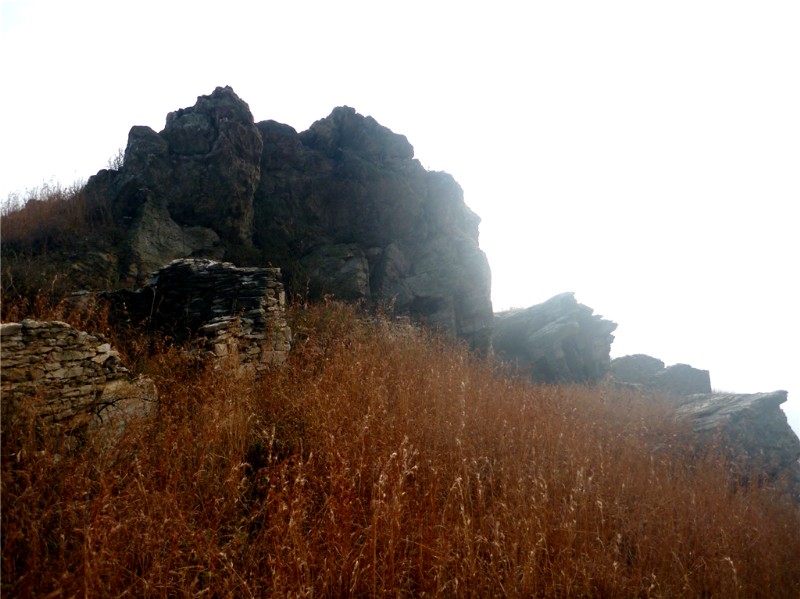 p1030687_.jpg