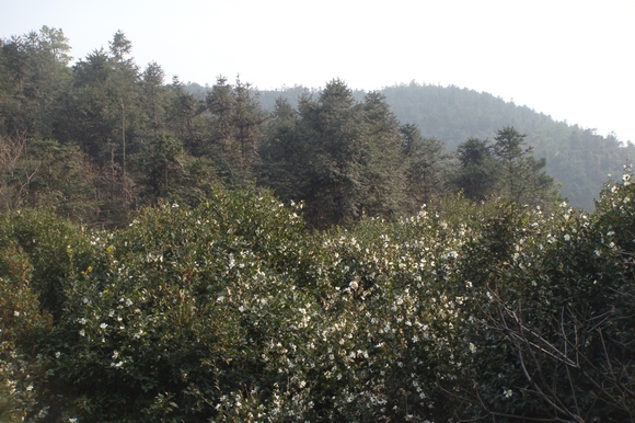 neo_img_dsc08839.jpg