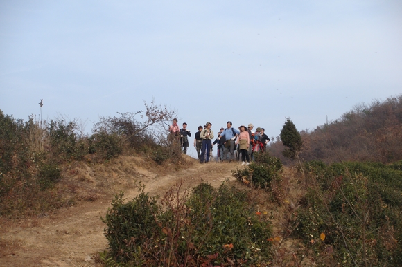 neo_img_dsc08844.jpg