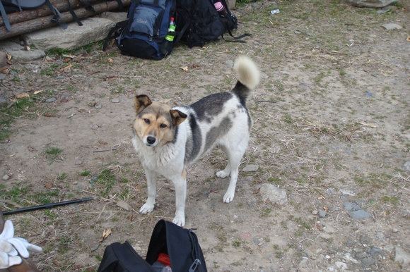 neo_img_dsc08846.jpg