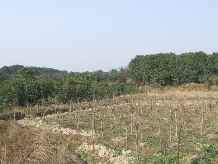 άζʦӰ (8).jpg
