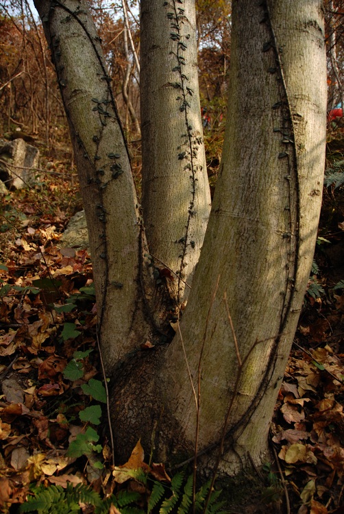 dsc_0125.jpg