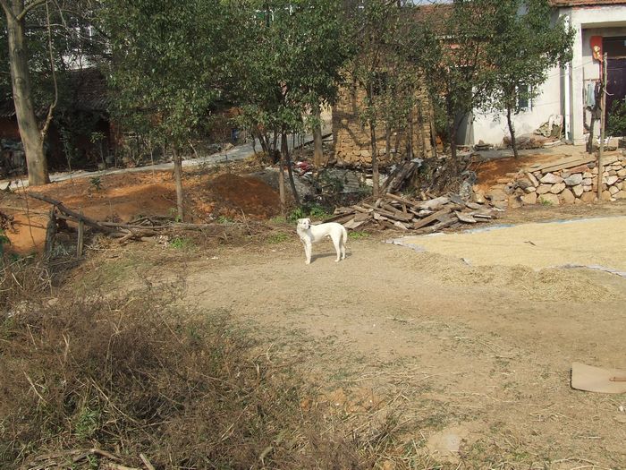 άζʦӰ (11).jpg