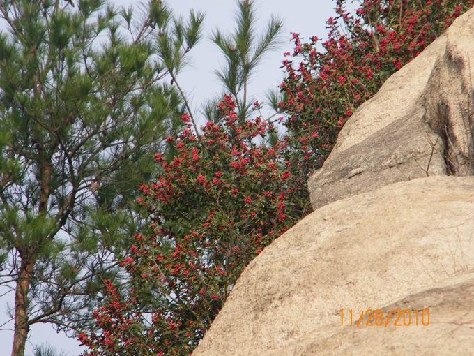 100_0754.jpg
