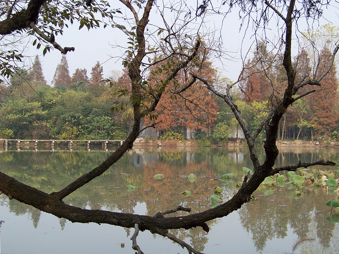 20101128hȪ (32)x.jpg