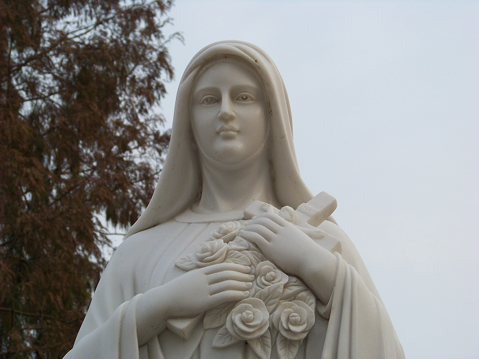 20101128jȪ (17)˼.jpg