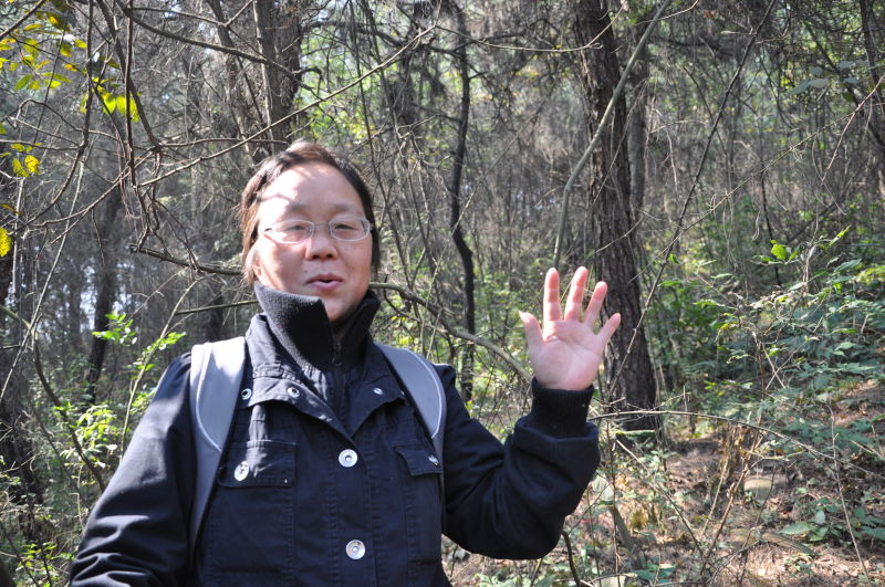 10.30.jilong shan--------012.jpg