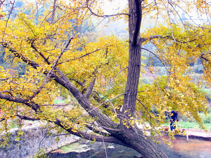 Ǯ012.jpg