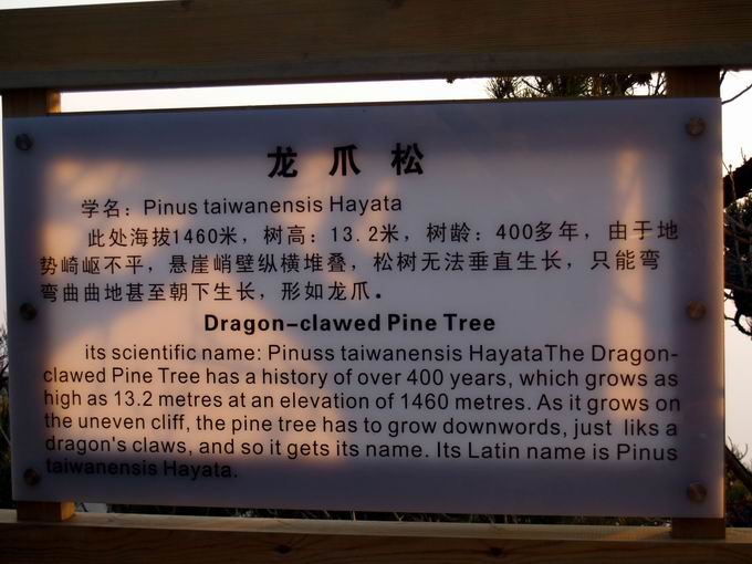 调整大小 pa304344.jpg