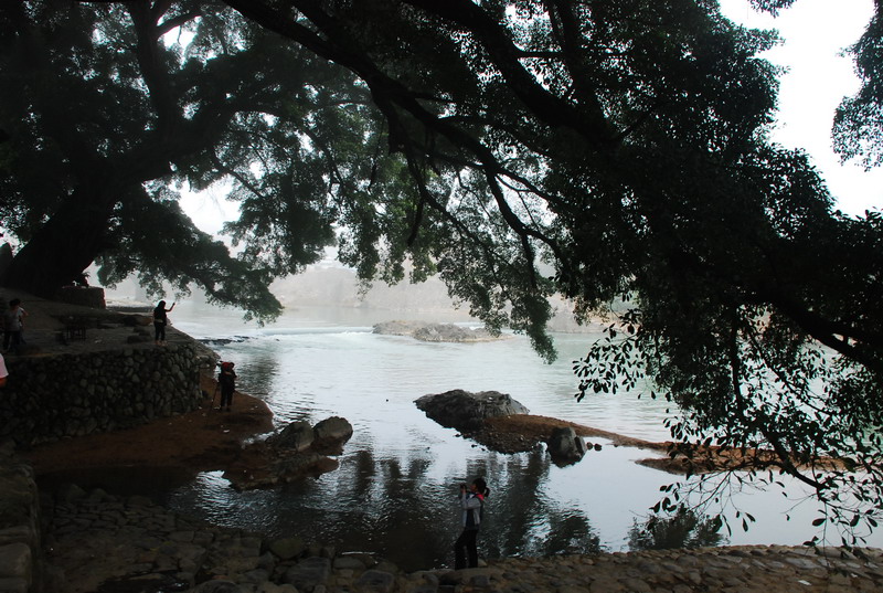 dsc_0640.jpg