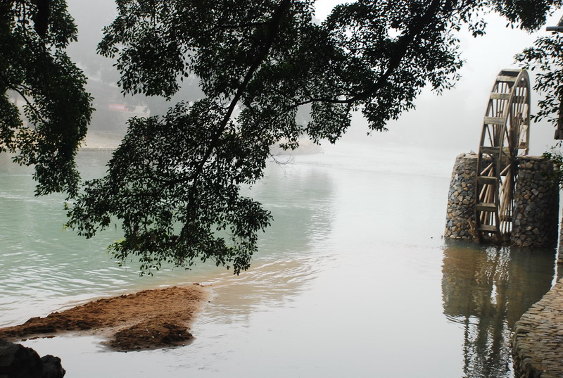 dsc_0650.jpg