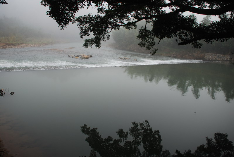 dsc_0776.jpg