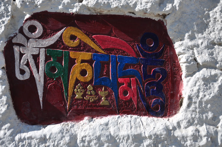 dsc_0196.jpg