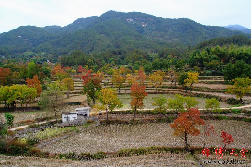 20101119356.jpg