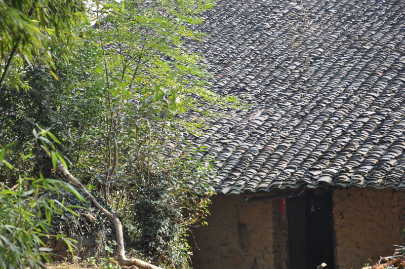 10.30.jilong shan--------03-16.jpg