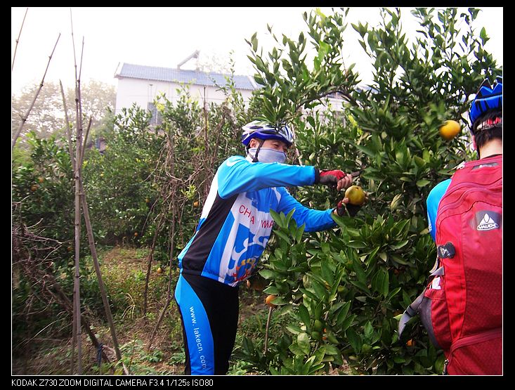 2010-11-2 035.jpg