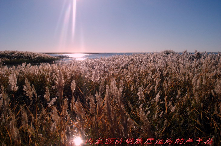 dsc09916b2.jpg