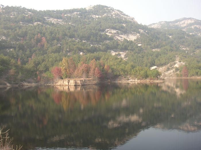 dsc02135.jpg