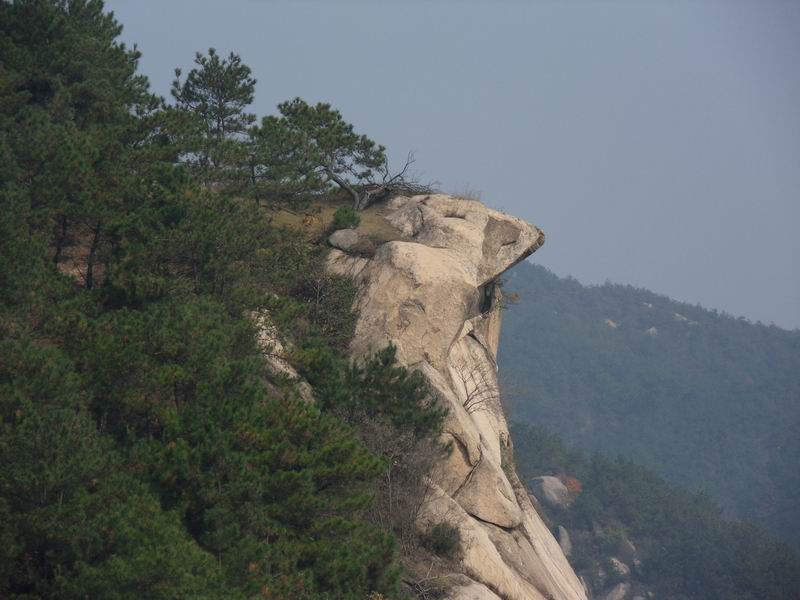 С sdc10217.jpg
