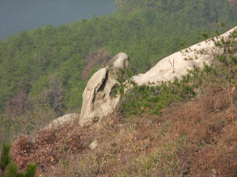 С sdc10219.jpg