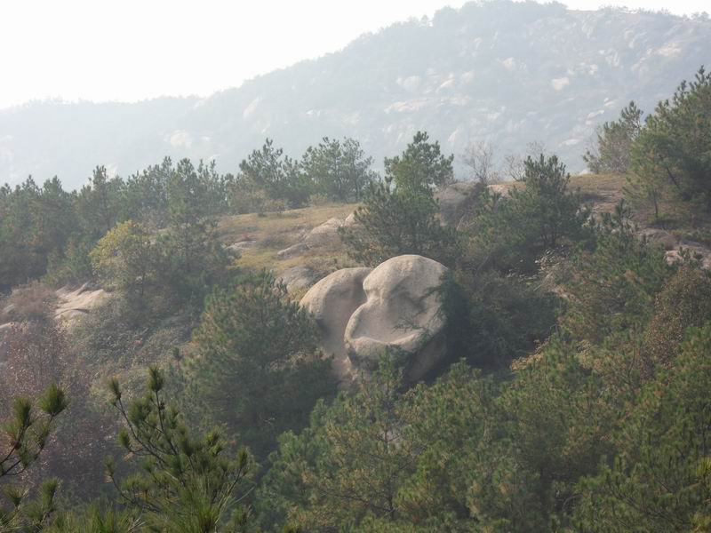 С sdc10223.jpg