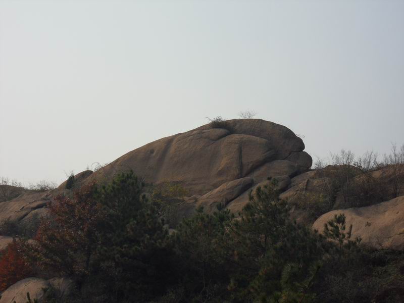 С sdc10224.jpg