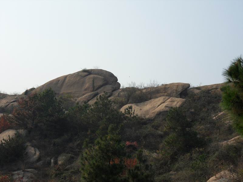 С sdc10225.jpg