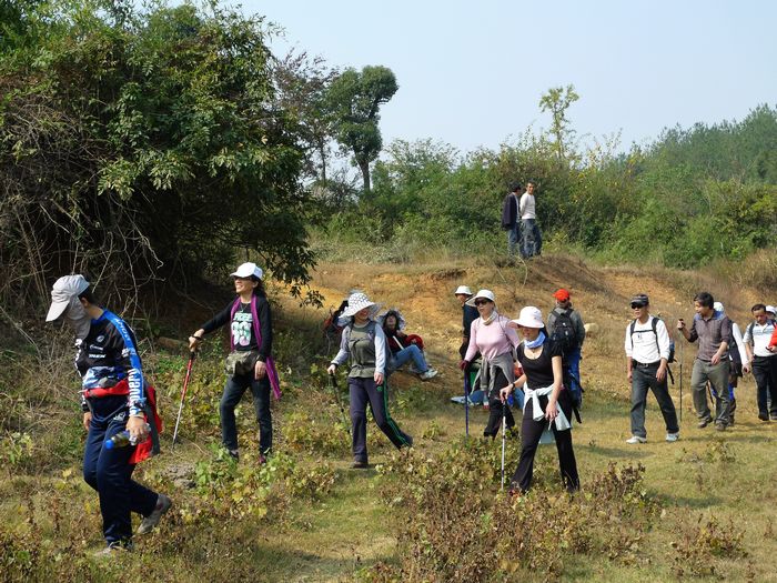 p1000517.jpg