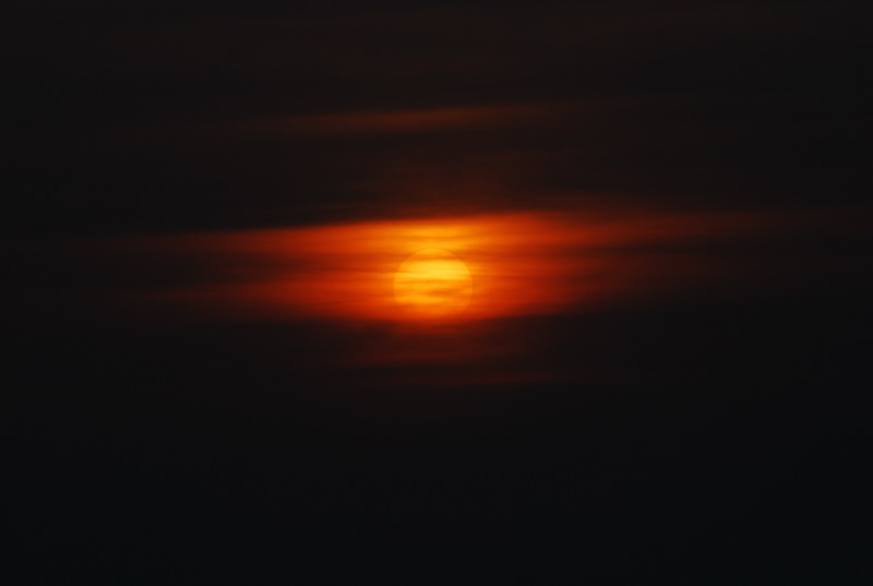 dsc_0241.jpg