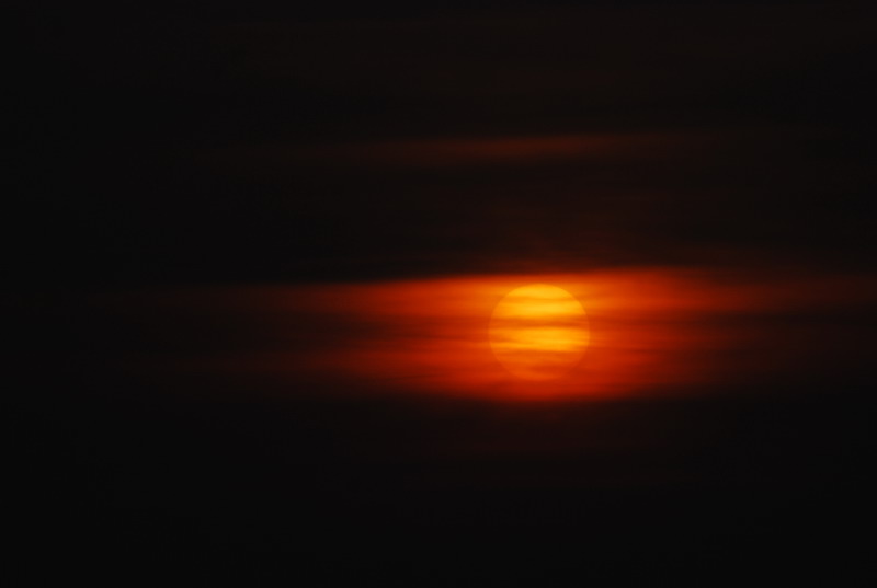 dsc_0244.jpg