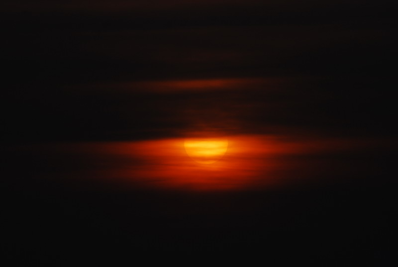 dsc_0248.jpg